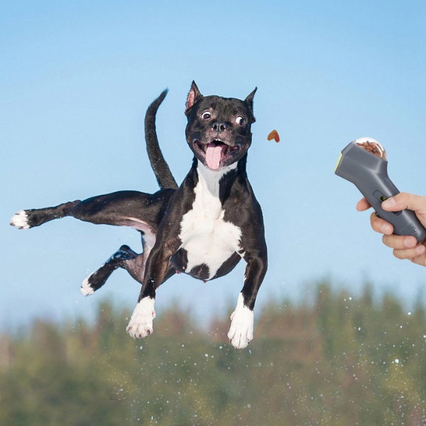 HappyPet™ Divertido Lanzador de Snacks Para Perros 🐶